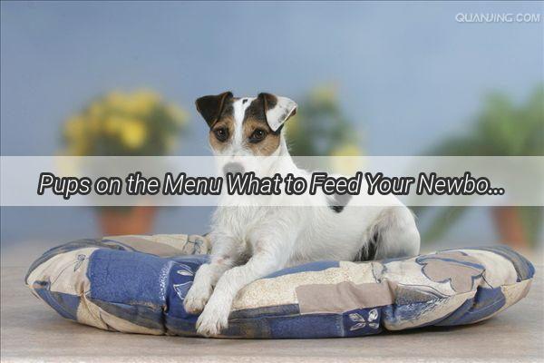 Pups on the Menu What to Feed Your Newborn Puppys Tummy